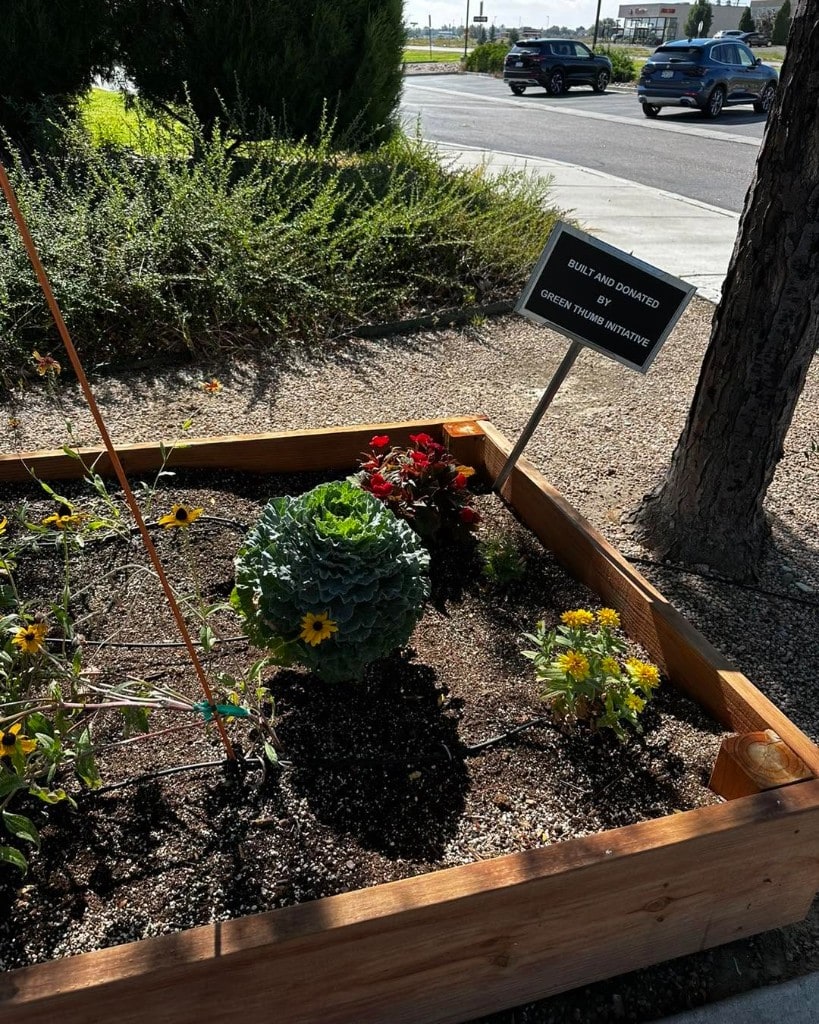 Green Thumb Initiative raised garden bed with GTI donation sign and flowering plants