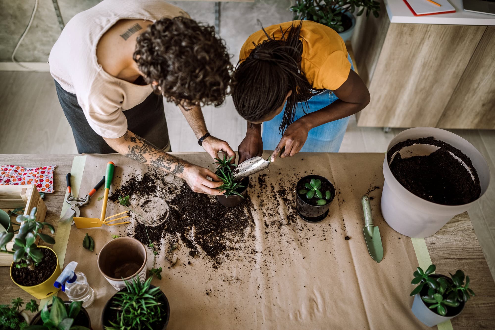 Contact Green Thumb Initiative Contact Green Thumb Initiative — Green Thumb Initiative participants repotting plants together during a community program