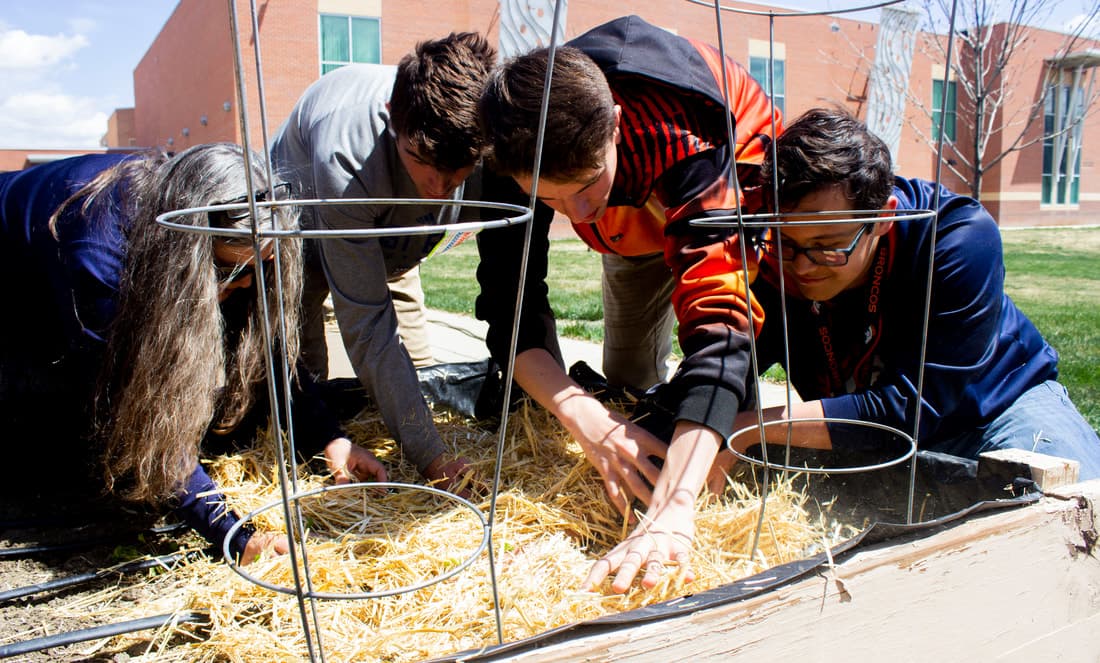 School Garden and STEAM Programs School Garden and STEAM Programs — Green Thumb Initiative students learning in a school garden program in Southern Colorado